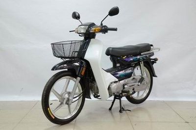 Dayang DY100MTwo wheeled motorcycles