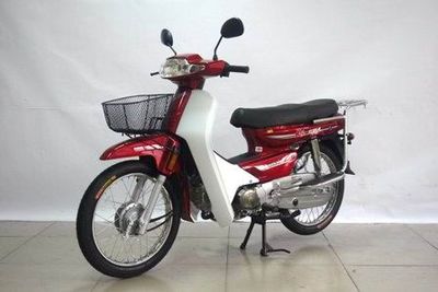 Dayang  DY100M Two wheeled motorcycles