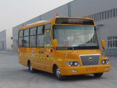 Dali  DLQ6770HX4 School buses exclusively for primary school students