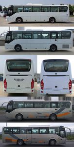 Yutong  ZK6116H75Z coach