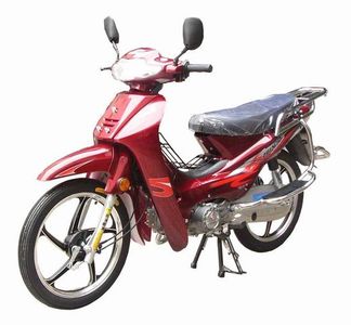 Xinbao  XB1108F Two wheeled motorcycles