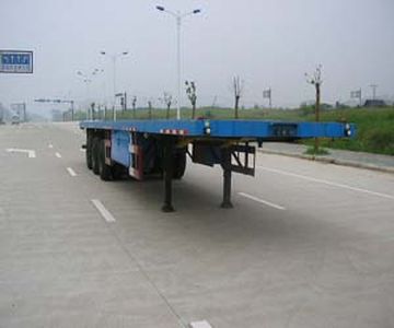 Nanming  LSY9396TJZP Container transport semi-trailer