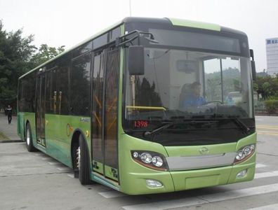 Wuzhoulong  FDG6117EVG Pure electric city buses