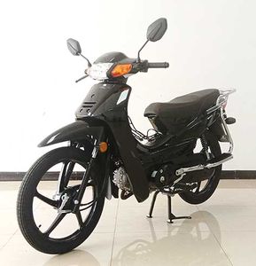 Wuben  WB110D Two wheeled motorcycles