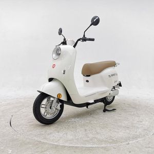 Tailing  TL1000DT26E Electric two wheeled motorcycle