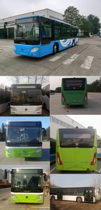 Foton  BJ6105SHEVCA2 Plug in hybrid urban buses