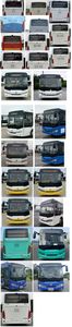 Chinese license plate cars TEG6853BEV03 Pure electric city buses