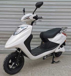 The Pearl River ZJ800DQT2V Electric two wheeled light motorcycle