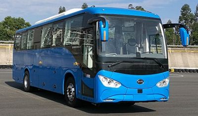 BYD  BYD6110HLEV2 Pure electric passenger cars