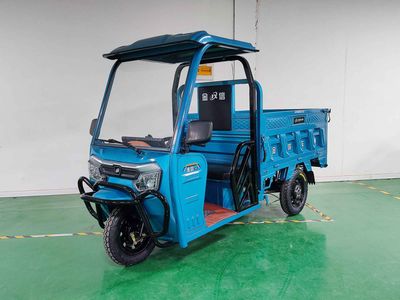 Jinxin  JX1500DZH12 Electric tricycle