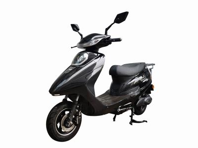 Xinlei  XL800DQT3 Electric two wheeled light motorcycle