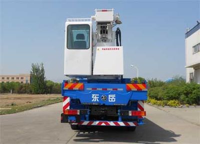 Dongyue  TA5250JQZ10 Car crane