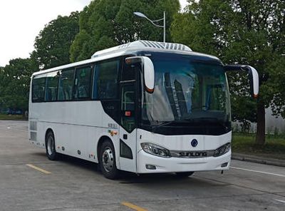 Shenlong brand automobile SLK6873ALD6 coach