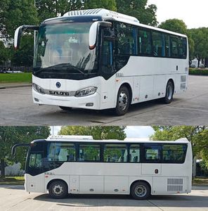 Shenlong brand automobile SLK6873ALD6 coach