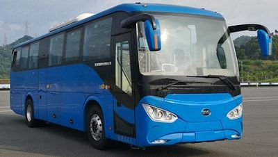 BYD  BYD6110C4EV1 Pure electric passenger cars