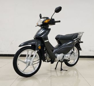 Jinli  JL12526E Two wheeled motorcycles