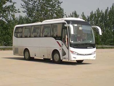 Jinlong  XMQ6859AYN4C coach