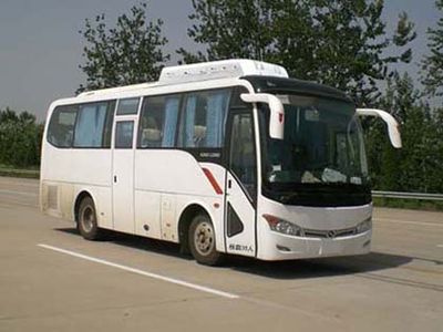 Jinlong  XMQ6859AYN4C coach