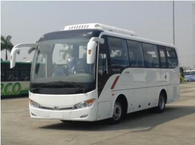 Jinlong  XMQ6859AYN4C coach