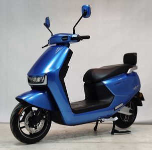 Tailing  TL1000DT60 Electric two wheeled motorcycle