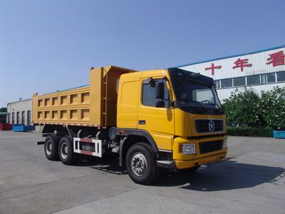 Dayun  DYX3251PA41WPD3G Dump truck