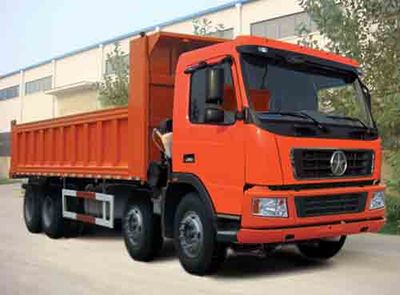 Dayun  DYX3311DA38WPD3D Dump truck