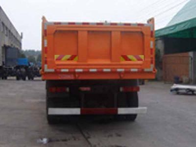 Dayun  DYX3311DA38WPD3D Dump truck