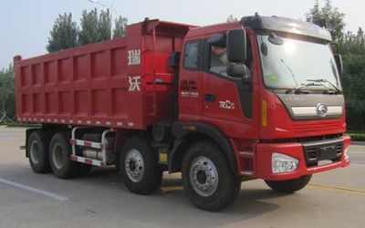 Foton  BJ3313DNPHC23 Dump truck