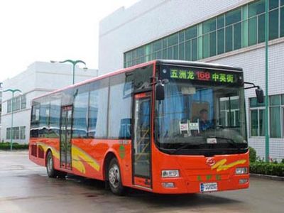 Wuzhoulong  FDG6121DG City buses