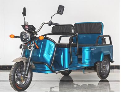 Qianjiang Wangzhong Ace Automobile QJ1000DZK6A Electric tricycle