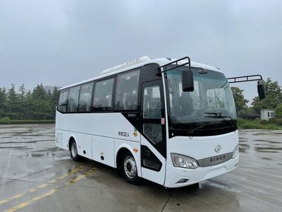 Hagrid KLQ6759KAE61 coach