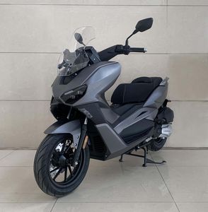 Longjia  LJ150T18D Two wheeled motorcycles