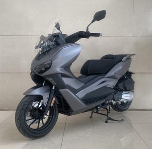 Longjia  LJ150T18D Two wheeled motorcycles