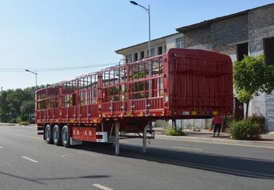 Tianjun Dejin brand automobilesTJV9370CCYGGantry transport semi-trailer