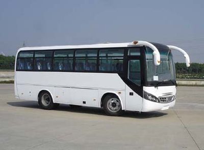 Lingyu  CLY6901DEA coach