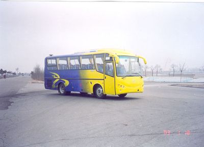 Shuchi YTK6851Ccoach