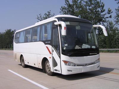 Jinlong XMQ6859AYN4Dcoach