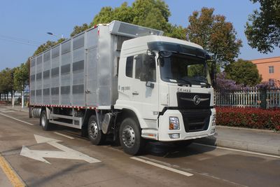 Runzhixing  SCS5250CCQDFV6 Livestock and poultry transport vehicles