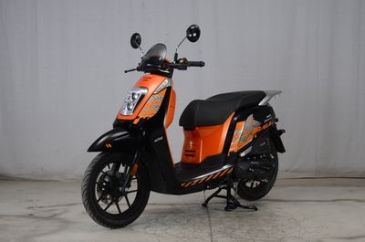 Dayang  DY125T31 Two wheeled motorcycles