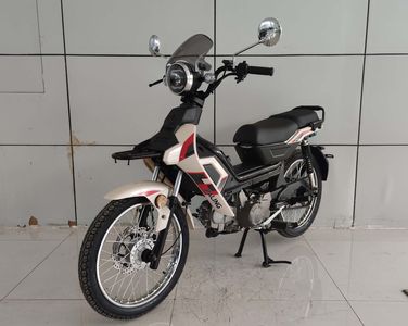 Jialing  JL11018 Two wheeled motorcycles