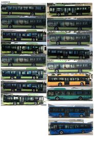 BYD  BYD6122B2EV1 Pure electric low entry city buses