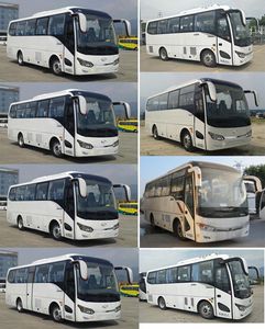 Jinlong  XMQ6802AYN5C1 coach