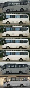 Jinlong  XMQ6802AYN5C1 coach