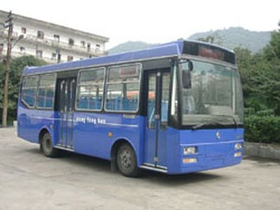 Dongfeng DHZ6880RCCity buses