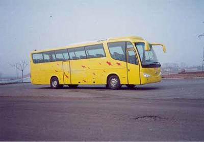 Shuchi  YTK6121B coach