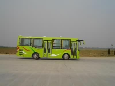 Star Kailong  HFF6920GK81 City buses