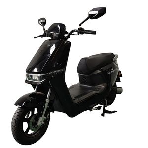 Dayang DY1000DT11Electric two wheeled motorcycle