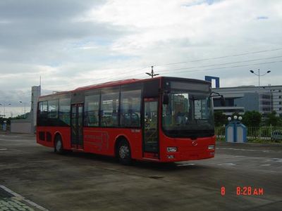 Wuzhoulong  FDG6121CG City buses