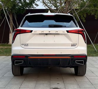 Haval CC6480AL02GPHEV Plug in hybrid multi-purpose passenger vehicles