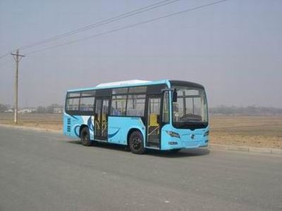 Huanghai  DD6810S23 City buses